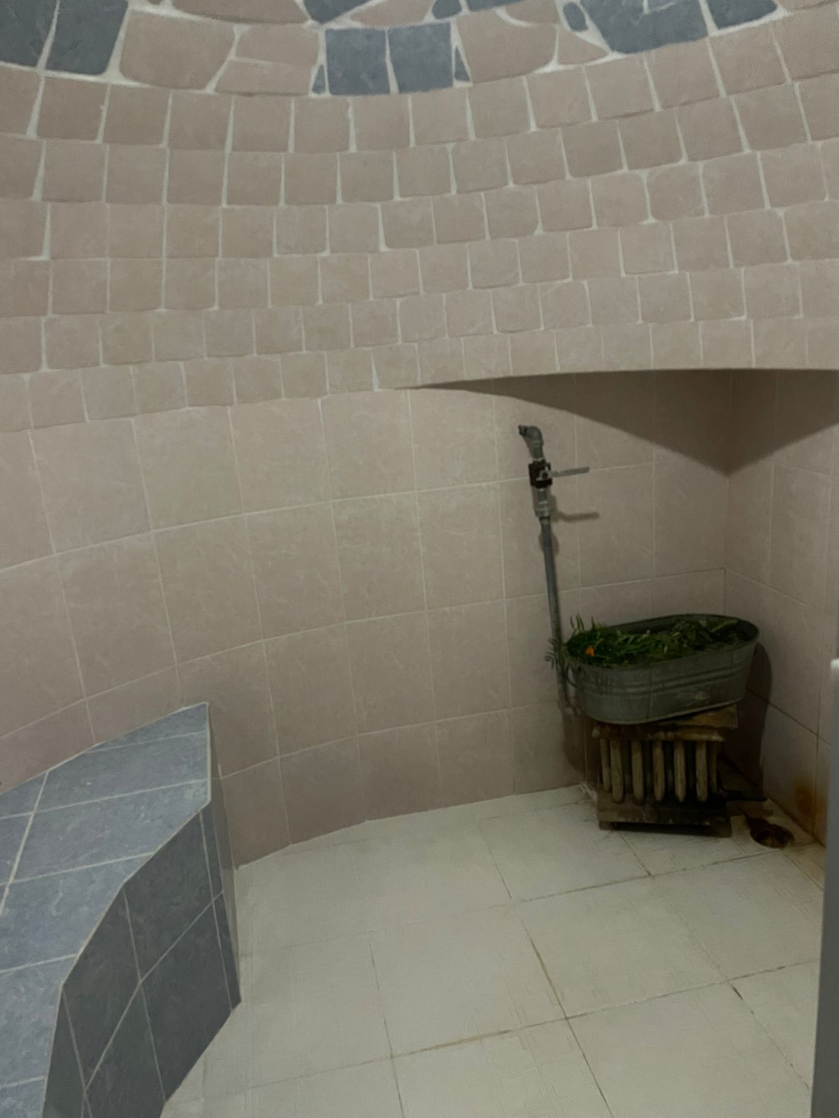 Temazcal Baños San Juan